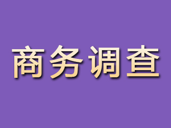 鹿邑商务调查